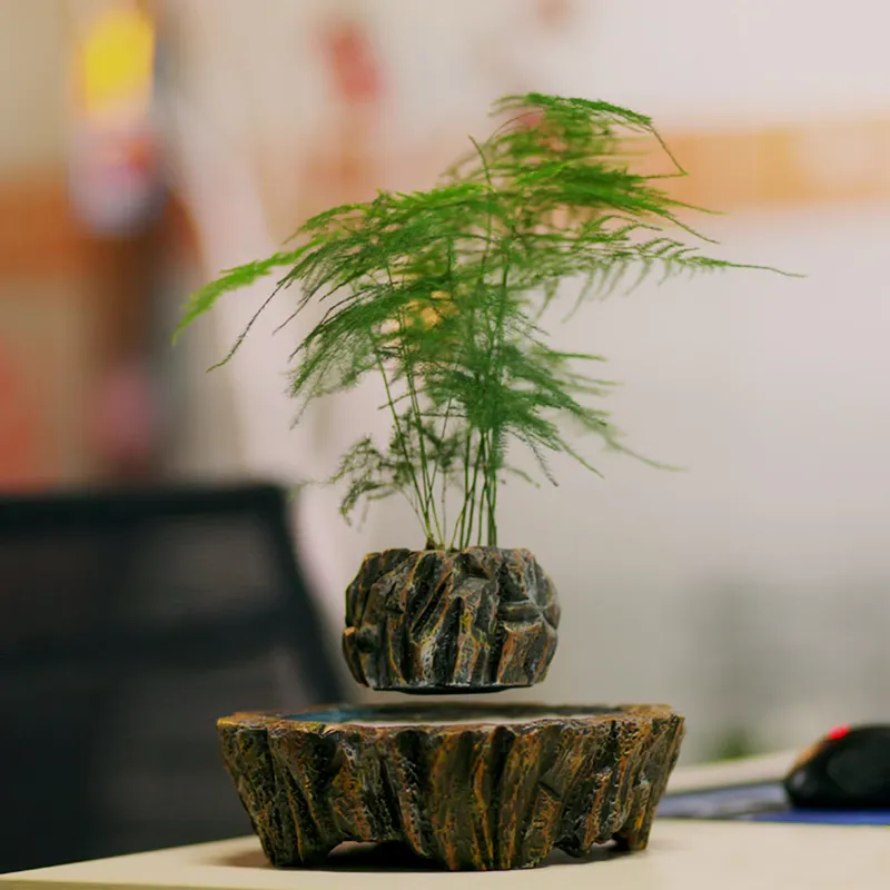Bonsai Vertical Garden - Vasos de Resina Flutuantes com Levitação
