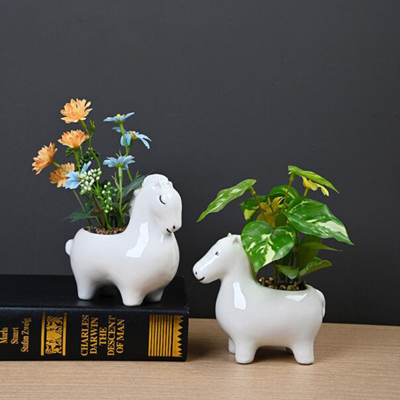 Bonsai Garden Art - Vaso Criativo de Porcelana Branca em