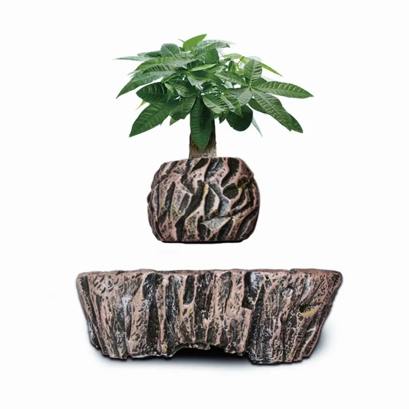 Vasos de Resina Flutuantes com - Bonsai Vertical Garden avaliação e preço