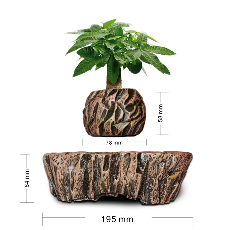 Vasos de Resina Flutuantes com - Bonsai Vertical Garden avaliação e preço