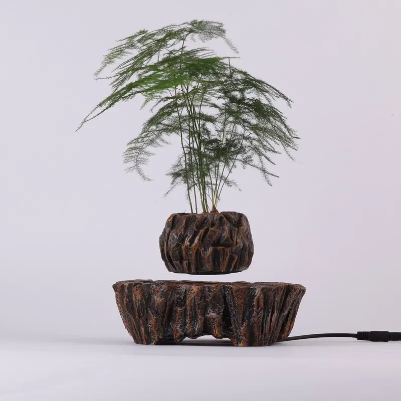 Vasos de Resina Flutuantes com - Bonsai Vertical Garden avaliação e preço