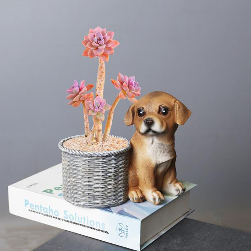 Casa sala de estar escritório  - Bonsai Garden Art avaliação e preço