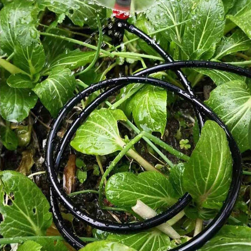 Mangueira de Irrigação para Ja - Bonsai Garden Youtube avaliação e preço