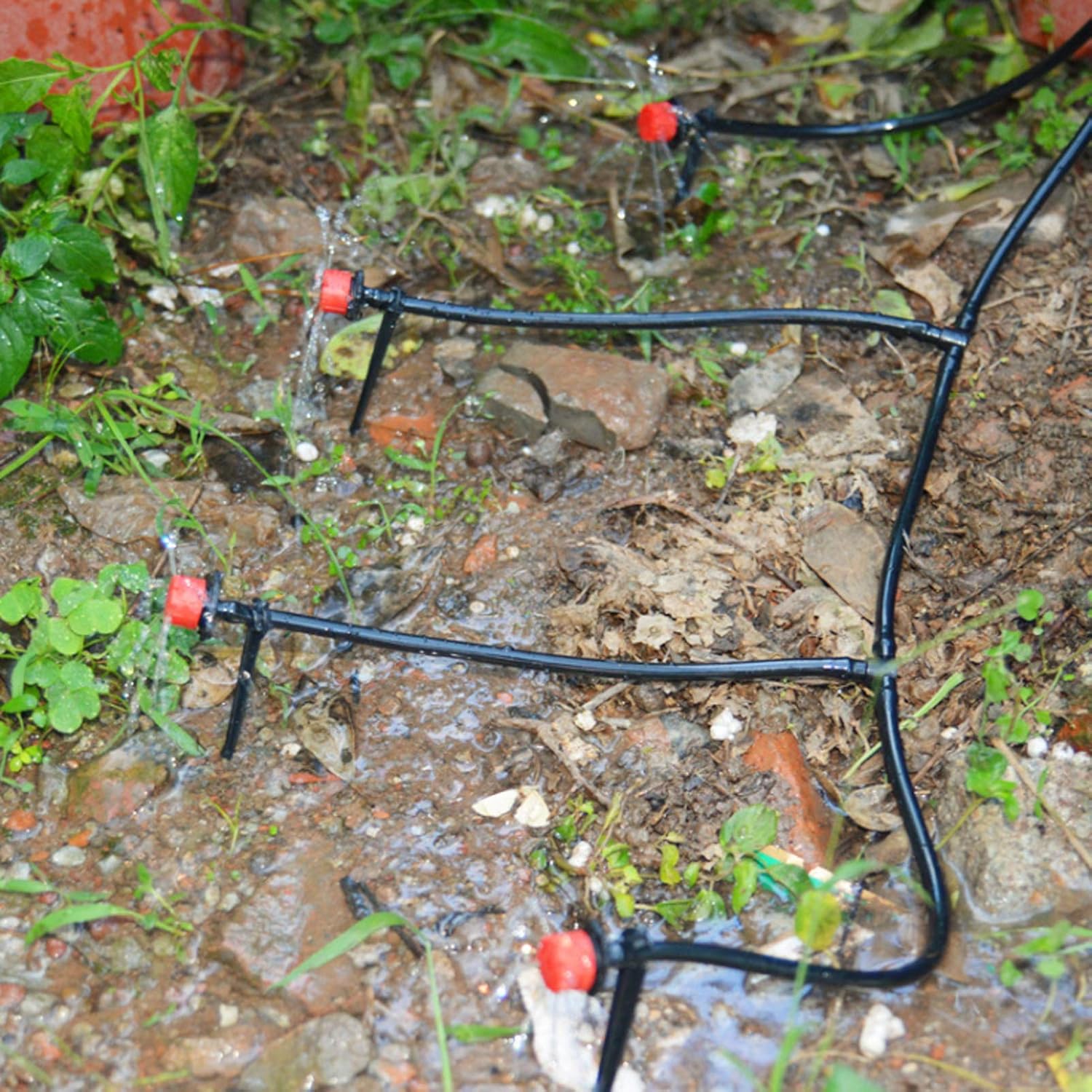Mangueira de Irrigação para Ja - Bonsai Garden Youtube avaliação e preço