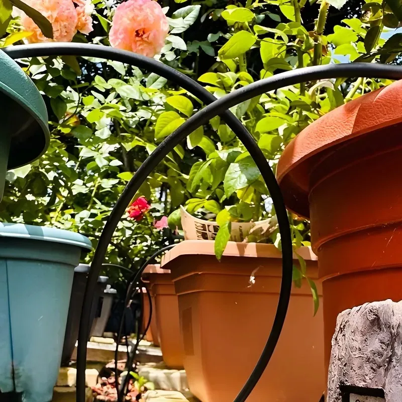 Mangueira de Irrigação para Ja - Bonsai Garden Youtube avaliação e preço