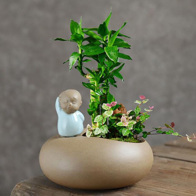 Vaso de cerâmica retrô estilo  - Bonsai Garden Art avaliação e preço