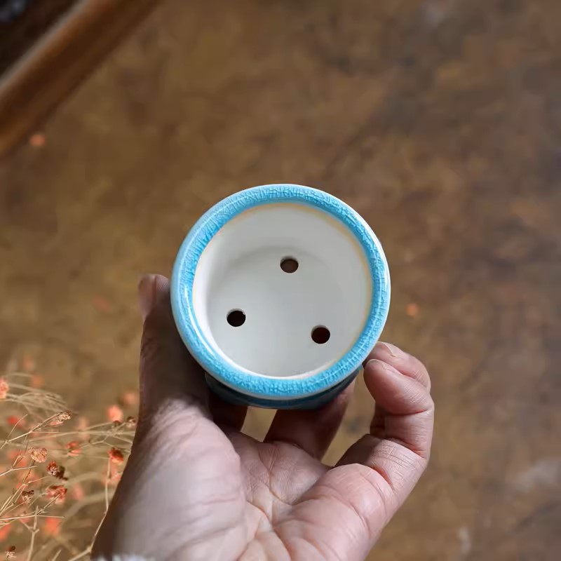 Vaso de Bonsai de Porcelana Az - Bonsai Garden Design avaliação e preço