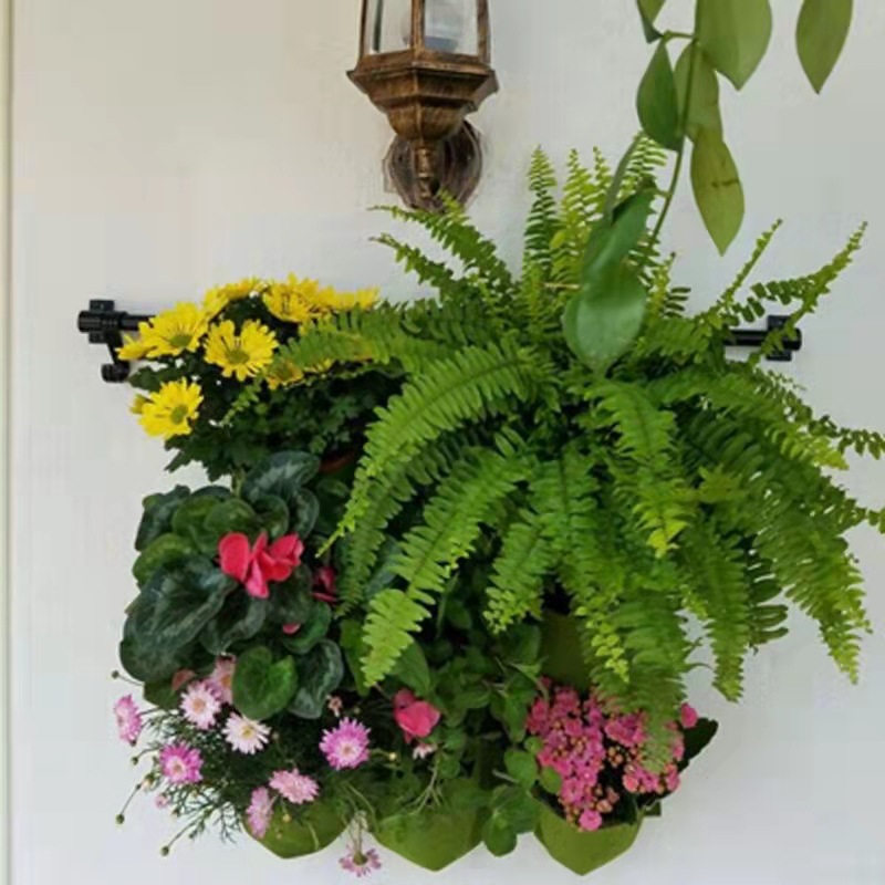 Pendurado na parede saco de pl - Bonsai Vertical Garden avaliação e preço