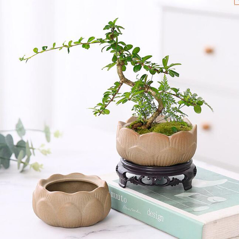 Cerâmica grossa Lotus Green Pl - Bonsai Garden Art avaliação e preço