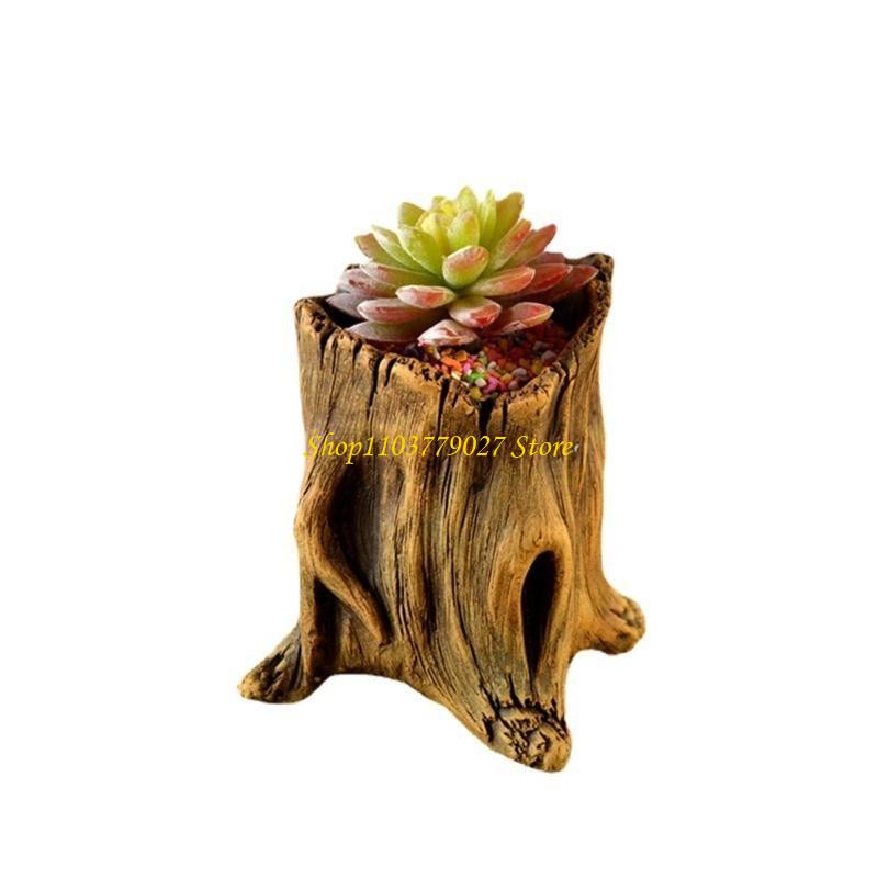 C4df decorativo concreto sucul - Bonsai Garden Design avaliação e preço
