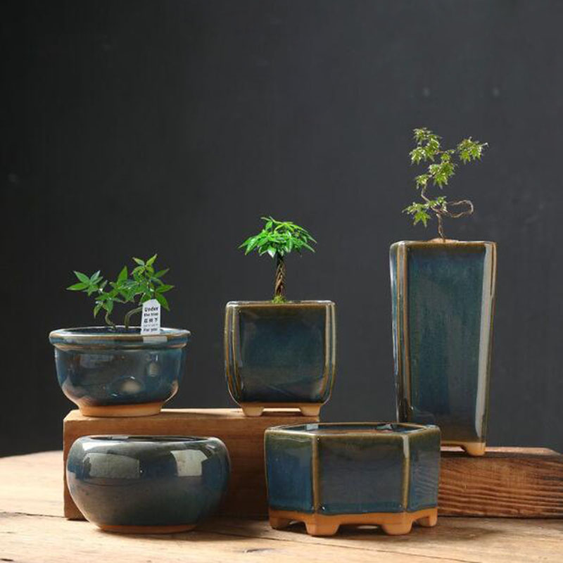 Vaso Criativo de Flor em Forma - Bonsai Garden Art avaliação e preço