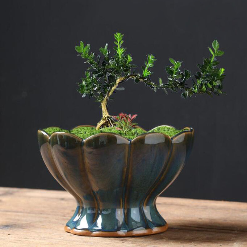 Vaso Criativo de Flor em Forma - Bonsai Garden Art avaliação e preço