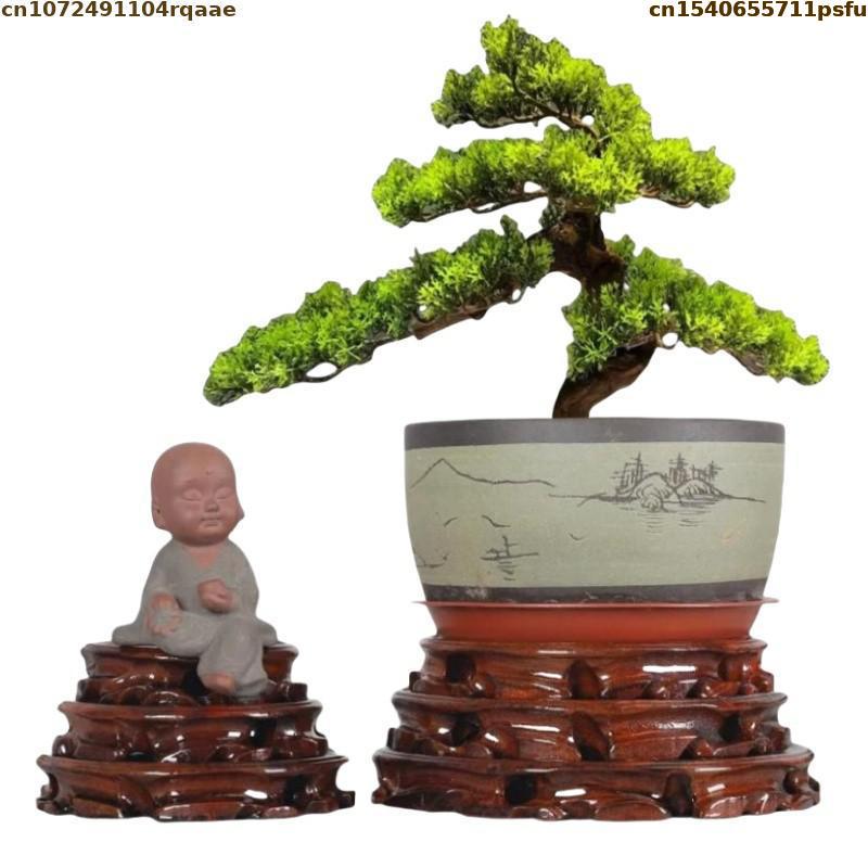 Vaso de flores em pé com 6-30c - Bonsai Garden Display Stands avaliação e preço