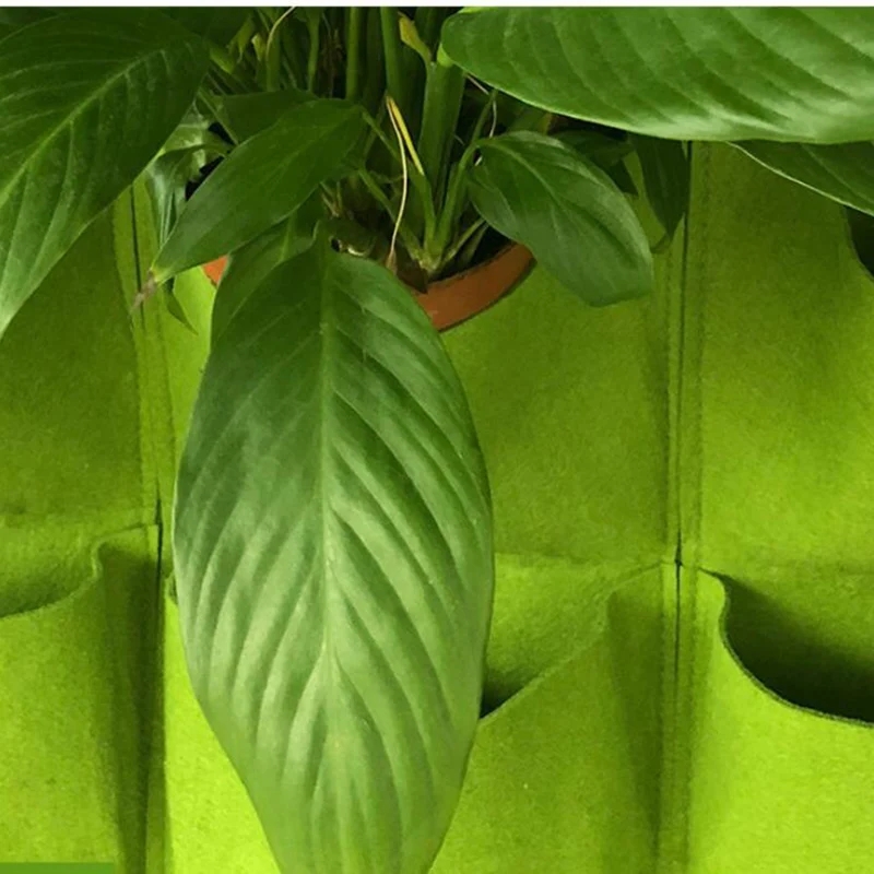 Pendurado na parede saco de pl - Bonsai Vertical Garden avaliação e preço