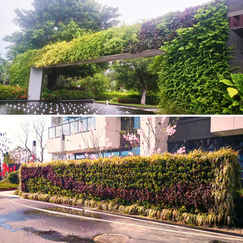 Montado na parede caixa de flo - Bonsai Vertical Garden avaliação e preço